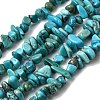 Natural HuBei Turquoise Bead Strands G-H345-A01-06-2