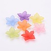 Mixed Transparent Frosted Acrylic Flower Beads X-BSF669-M-2