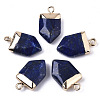 Natural Lapis Lazuli Pointed Pendants G-N326-34E-1