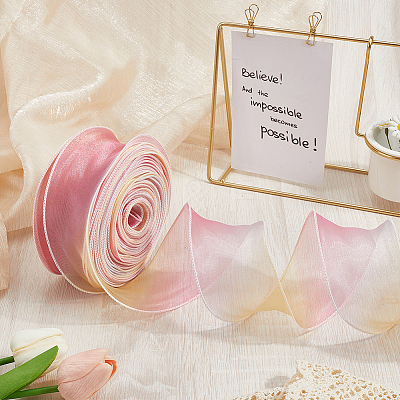 1 Bag Gradient Color Organza Ribbon OHAR-CY0001-01A-1