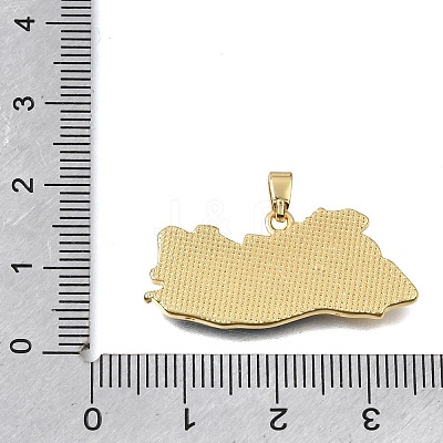 Brass Enamel Pendants KK-C263-30B-G-1