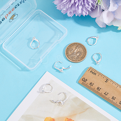 10Pcs Brass Cubic Zirconia Leverback Earring Findings KK-BBC0024-29-1