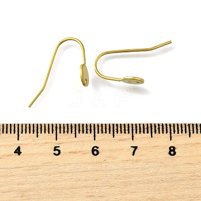 304 Stainless Steel Earring Hooks LS-STAS-B087-09A-G-1
