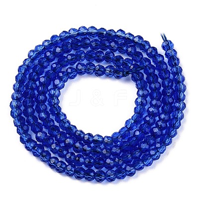 Glass Beads Strands EGLA-T021-01C-1