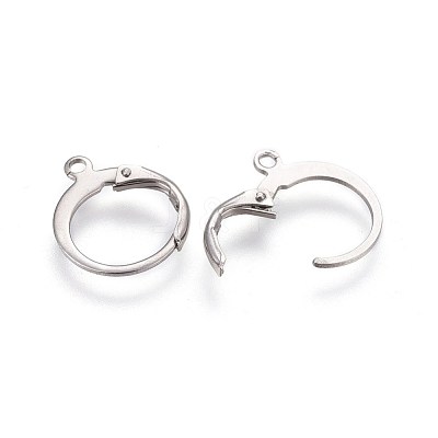 Tarnish Resistant 304 Stainless Steel Leverback Earring Findings X-STAS-I100-19P-1