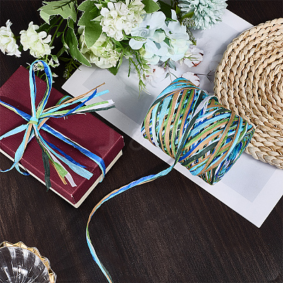 6 Colors Raffia Paper Cords OCOR-WH0063-110D-1