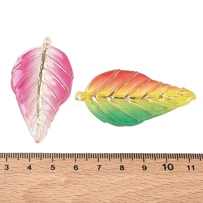 Gradient Colors Acrylic Big Pendants AC-CBAC7C8-01B-1