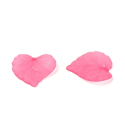 Transparent Acrylic Pendants PL591-3-1