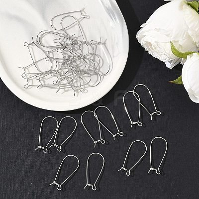 SHEGRACE Brass Kidney Ear Wire XGR0004P-43P-1