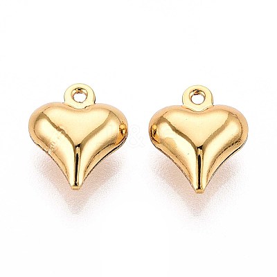 304 Stainless Steel Charms STAS-N118-12G-1