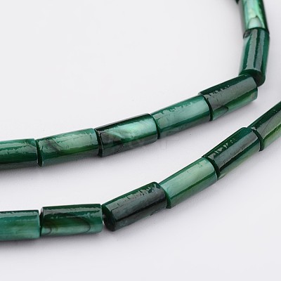 Natural Shell Bead Strands BSHE-P016-13-1