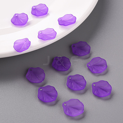 Transparent Frosted Acrylic Pendants MACR-S371-02A-747-1