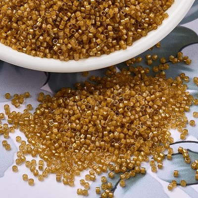 MIYUKI Delica Beads X-SEED-J020-DB0272-1