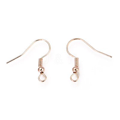 Iron Earring Hooks IFIN-EC135-RG-1