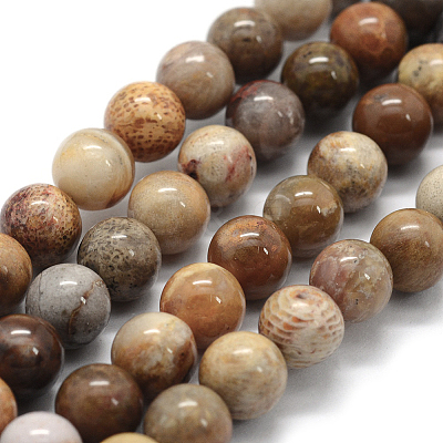 Natural Fossil Coral Beads Strands X-G-G763-12-8mm-1