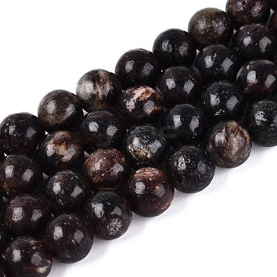 Natural Biotite Beads Strands G-Q616-01C-1
