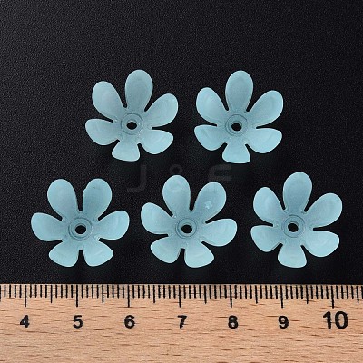 Transparent Acrylic Beads MACR-S373-47-D07-1