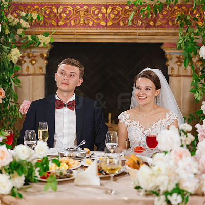 1Pc Polyester with Rhinestone Bow Ties for Bridegroom AJEW-SP0003-32C-1