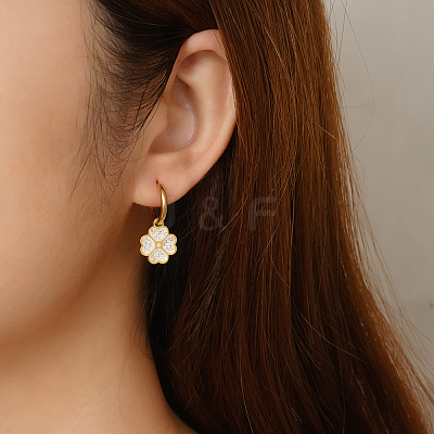 304 Stainless Steel Hoop Earrings AY4063-2-1