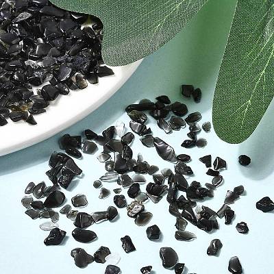 Natural Obsidian Chip Beads G-L453-08-1