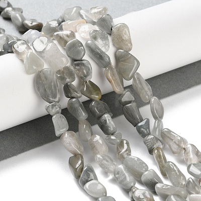 Natural Eagle Eye Stone Beads Strands G-P497-01C-14-1
