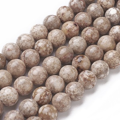Natural Fossil Coral Beads Strands G-F563-02-8mm-1