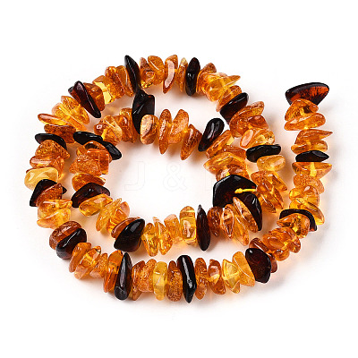 Natural Amber Beads Strands G-T138-235E-1