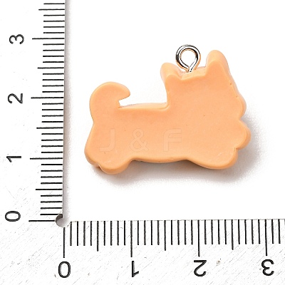Opaque Resin Pendants RE-CBA5B90-04B-1