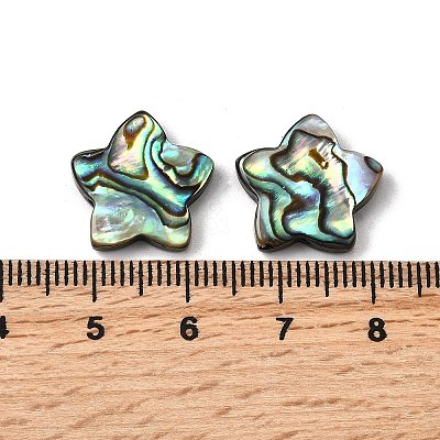 Natural Abalone Shell/Paua Shell Beads SHEL-B003-06-1