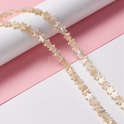 Natural Trochid Shell/Trochus Shell Beads SSHEL-O001-25B-01-1