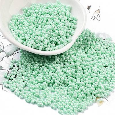 Opaque Colours Glass Seed Beads SEED-A033-06K-1