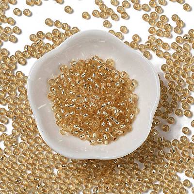 Glass Seed Beads SEED-H002-C-A036-1