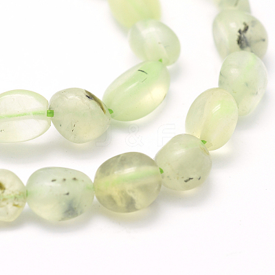 Natural Prehnite Beads Strands G-K230-20-1