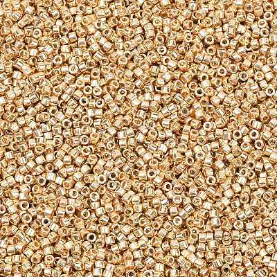MIYUKI Delica Beads SEED-MY11-DB2501-1