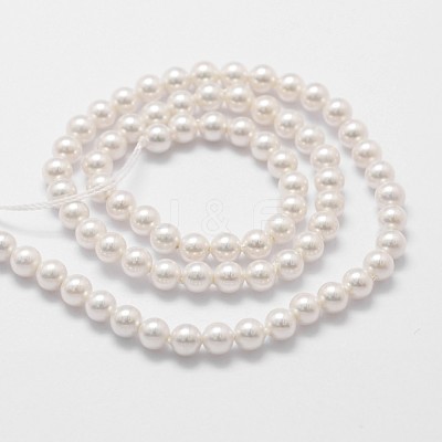 Shell Pearl Bead Strands X-BSHE-L025-01-4mm-1
