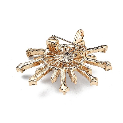 Alloy Rhinestone Brooch for Backpack Clothes JEWB-P046-05A-G-1