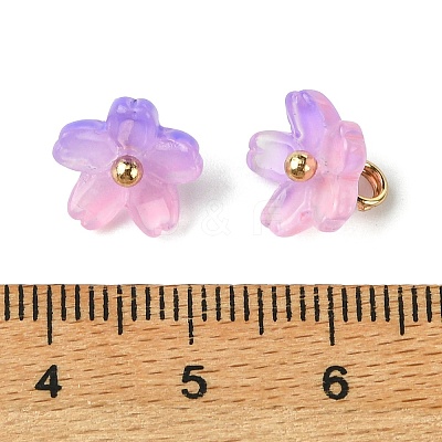 Alloy Acrylic Pendants TACR-P016-01G-13-1