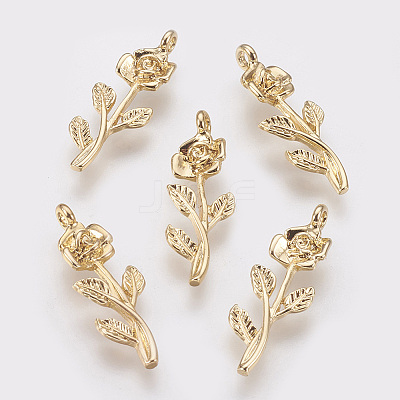 Brass Pendants X-KK-T020-117G-1