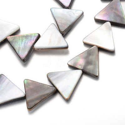 Natural Black Lip Shell Bead Strands SHEL-R018-03-1