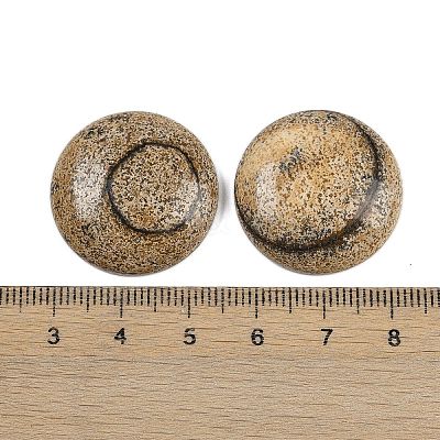 Natural Picture Jasper Cabochons G-H1596-FR-25mm-17-1