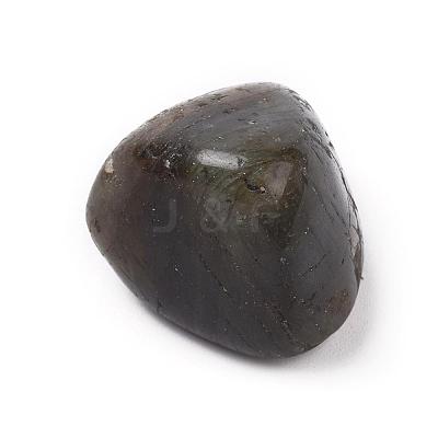 Natural Labradorite Beads G-K302-A09-1