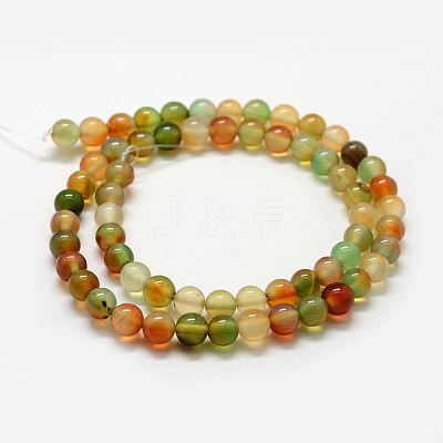 Natural Peacock Agate Beads Strands G-F417-06-8mm-1