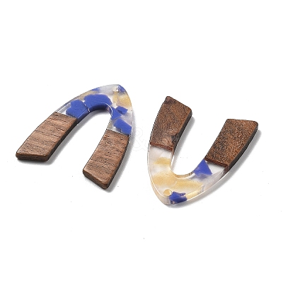 Resin and Walnut Pendants FIND-R051-11G-1