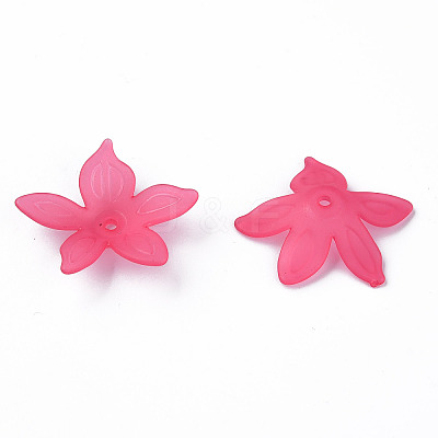 Transparent Acrylic Beads X-MACR-S373-127-D-1