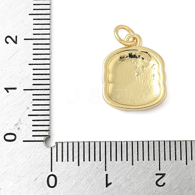 Brass Enamel Charms KK-C110-14C-01G-1