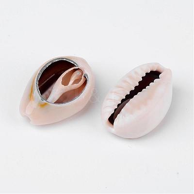 Natural Cowrie Shell Beads X-BSHE-S053-1