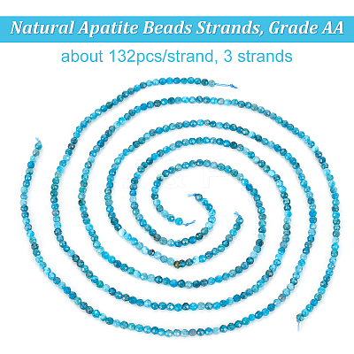 3 Strands Natural Apatite Beads Strands G-OC0004-69-1