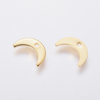 304 Stainless Steel Charms LS-STAS-L234-073G-1