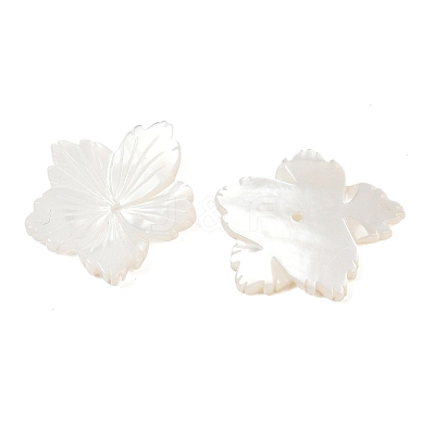 Natural White Shell Carved Beads SSHEL-B006-06-1