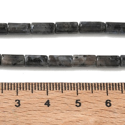 Natural Larvikite Beads Strands G-B091-A20-01-1